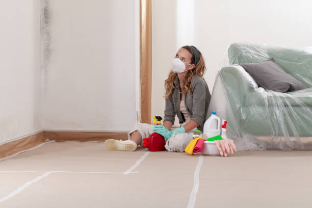 Reliable Black Mold Remediation contractor in Wharton, TX by Mold Remediation HQ